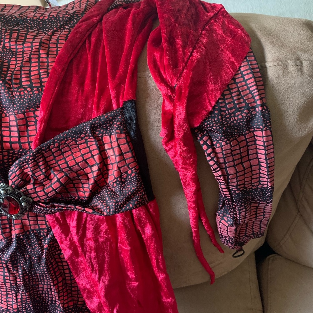 Seductive Devil Costume - image 7